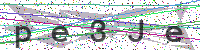 Enter Security Code