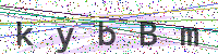 Enter Security Code