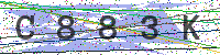 Sicherheitscode eingeben