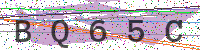 Enter Security Code