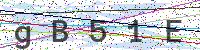 Enter Security Code