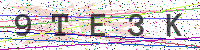 Enter Security Code