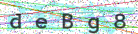 Enter Security Code