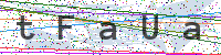 Sicherheitscode eingeben