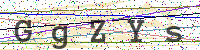 Enter Security Code