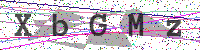 Enter Security Code