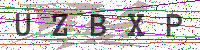 Enter Security Code