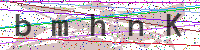 Enter Security Code