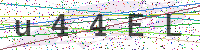 Enter Security Code
