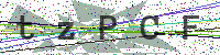 Enter Security Code