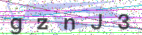 Enter Security Code