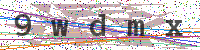 Enter Security Code