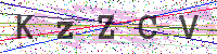 Enter Security Code