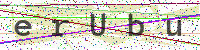 Enter Security Code