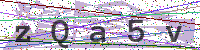 Enter Security Code