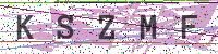 Enter Security Code