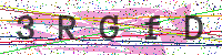 Enter Security Code