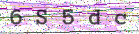 Enter Security Code