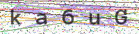 Sicherheitscode eingeben