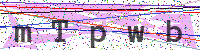 Enter Security Code