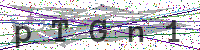 Enter Security Code