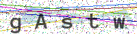 Enter Security Code