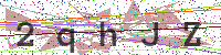 Enter Security Code