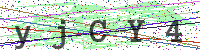 Enter Security Code