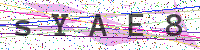Enter Security Code