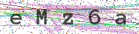 Enter Security Code