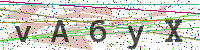 Enter Security Code