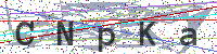 Sicherheitscode eingeben