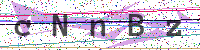 Enter Security Code