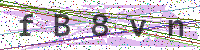 Enter Security Code