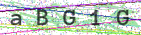 Enter Security Code