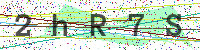 Enter Security Code