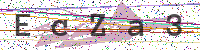 Enter Security Code