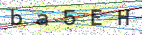 Enter Security Code