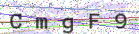 Enter Security Code