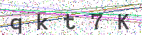 Enter Security Code