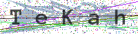 Enter Security Code