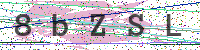 Enter Security Code