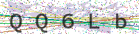 Enter Security Code