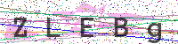 Sicherheitscode eingeben