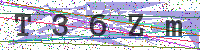 Enter Security Code