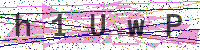 Enter Security Code