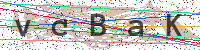 Sicherheitscode eingeben