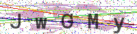 Enter Security Code