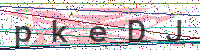 Enter Security Code