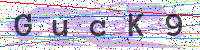 Enter Security Code